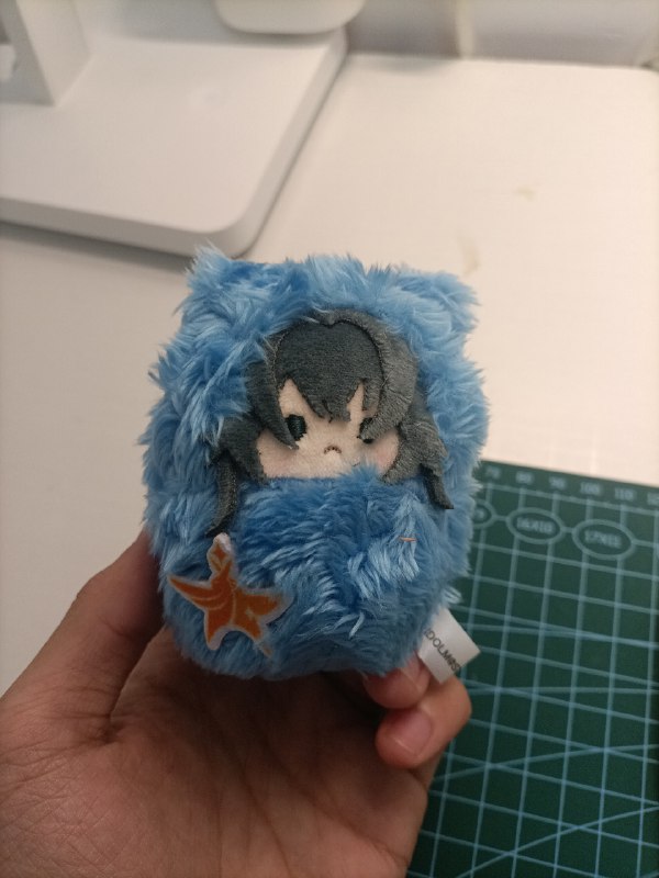 买来送给玩学マス的朋友的