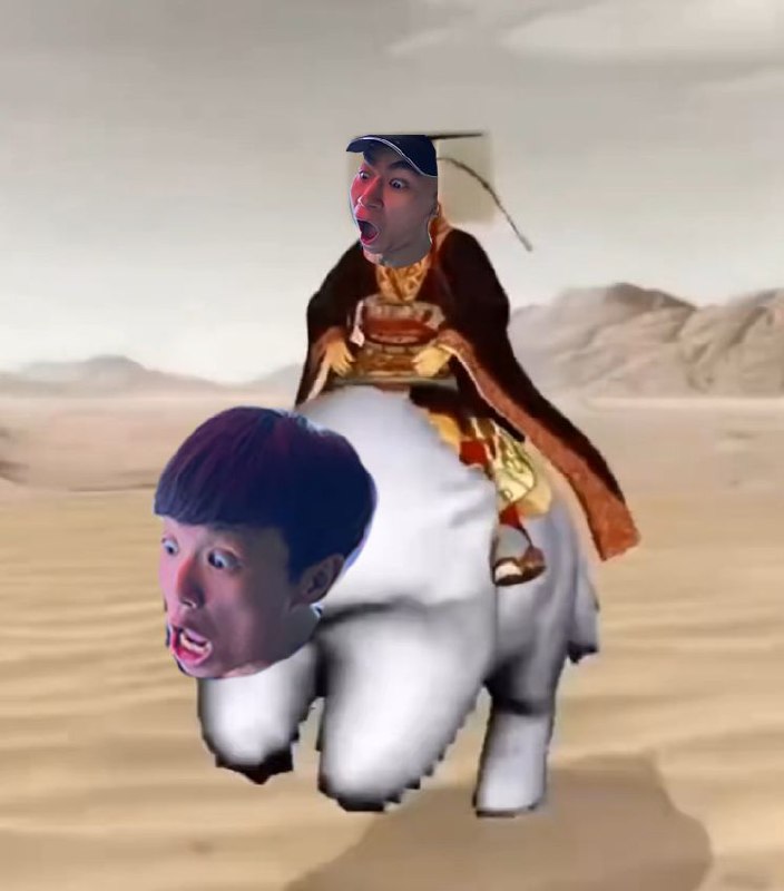 p了