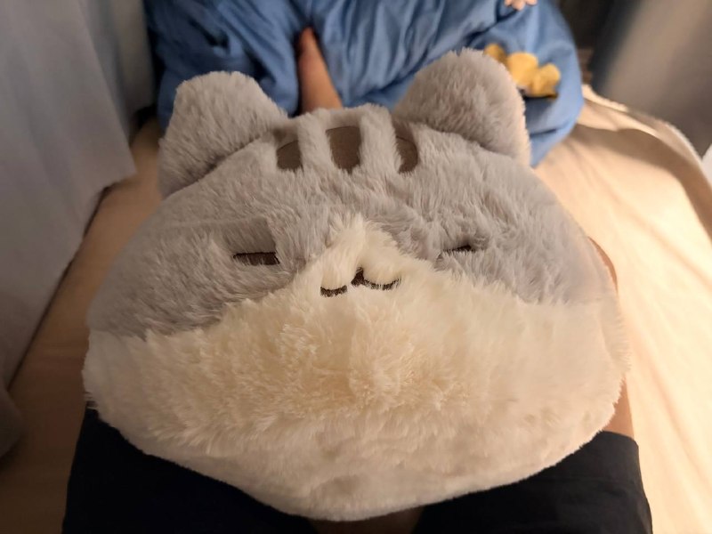 买的抱枕到了好舒服呀买的抱枕到了好舒服呀