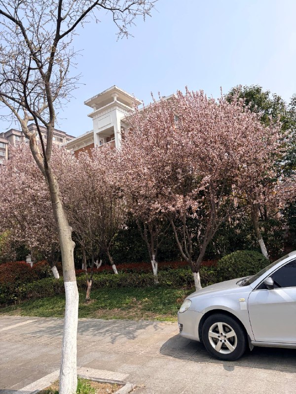 今日舞萌+小小的我今日舞萌+小小的我