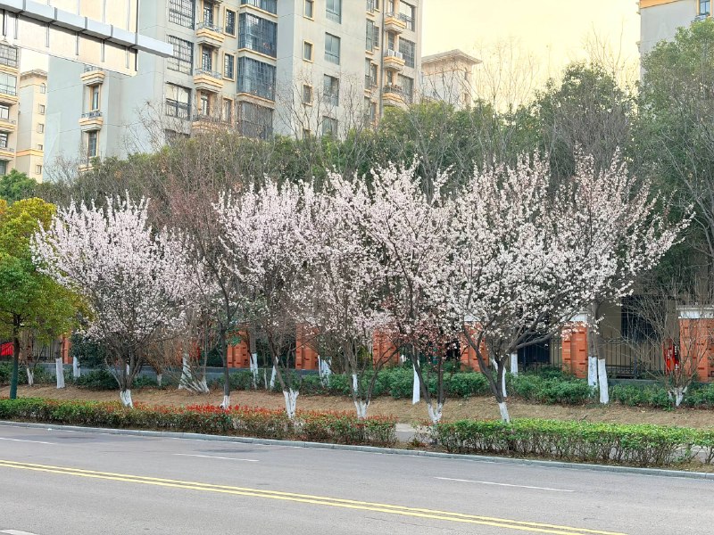 今日舞萌+小小的我今日舞萌+小小的我