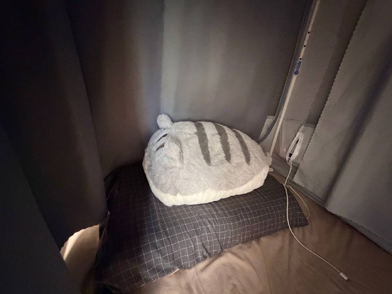 买的抱枕到了好舒服呀买的抱枕到了好舒服呀