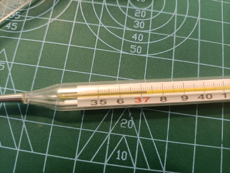 发烧了，还把体温计摔碎了好倒霉