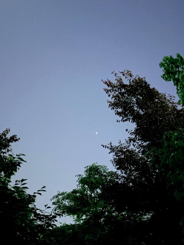 今天今天