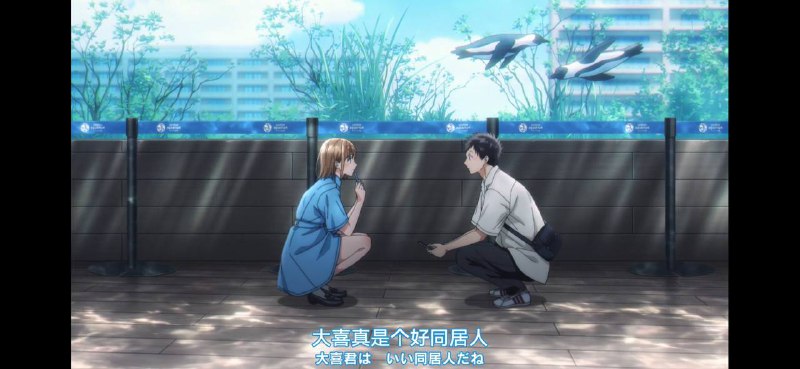 经典水族馆学姐手机以及败犬 好惨经典水族馆学姐手机以及败犬 好惨