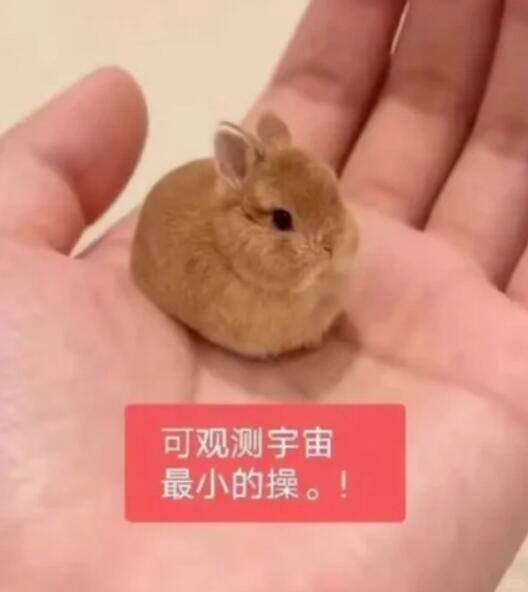 九月和@岁祈@券券